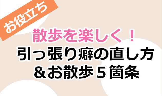 柴犬コマリ　引っ張り癖
