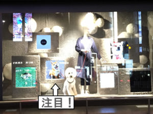 柴犬コマリ　伊勢丹新宿店　ショーウィンドウ