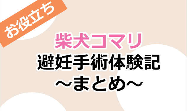 柴犬コマリ　避妊手術