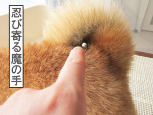 柴犬コマリ　尻尾