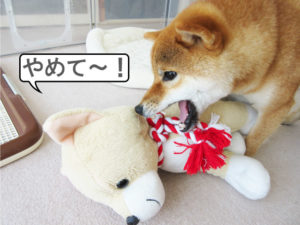 柴犬コマリ　柴犬ぬいぐるみ