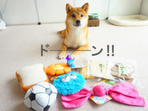 柴犬コマリ　おもちゃ