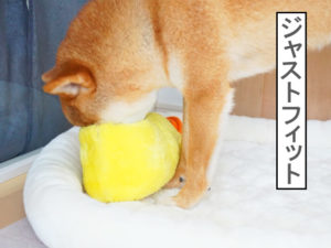 柴犬コマリ　おもちゃ