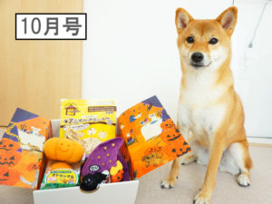 柴犬コマリ　PECOBOX