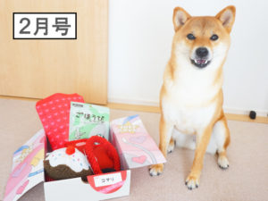 柴犬コマリ　PECOBOX