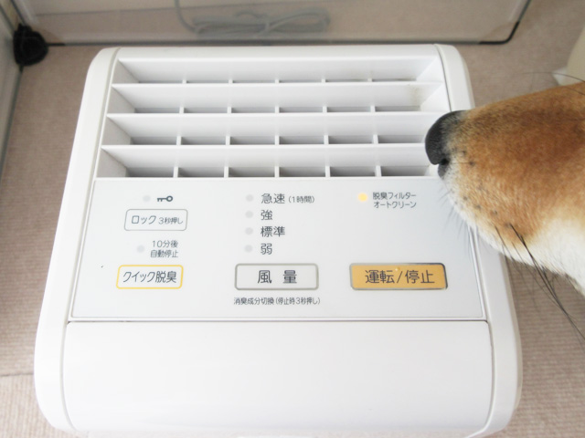 ペット臭が消える！富士通の脱臭機「プラズィオン」 | 柴犬コマリ学園