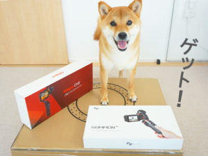 柴犬コマリ　TikTok総選挙2018