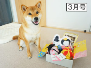 柴犬コマリ　PECOBOX