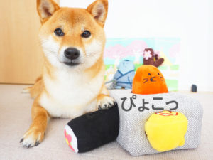 柴犬コマリ　pecobox ペコボックス