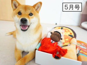 柴犬コマリ　PECOBOX