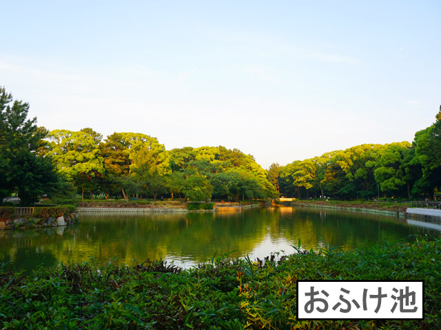 名城公園　おふけ池