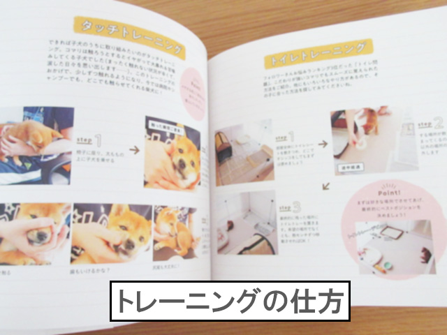 柴犬コマリ @shibakoma 写真集