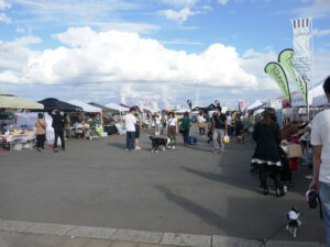 柴犬コマリ わんだらけ wandarake