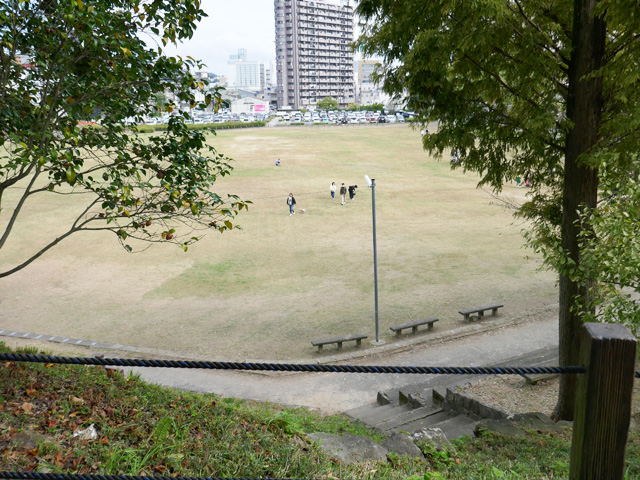 柴犬コマリ 岡崎公園