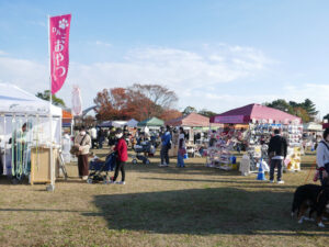 柴犬コマリ　木曽三川わんこマルシェ