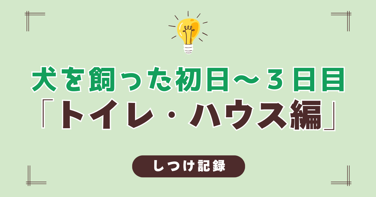 子犬のトイレトレーニングとハウストレーニングのやり方