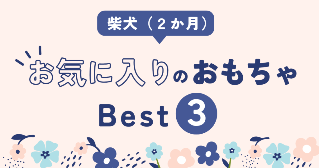 柴犬　子犬　おすすめ　おもちゃ　ランキング