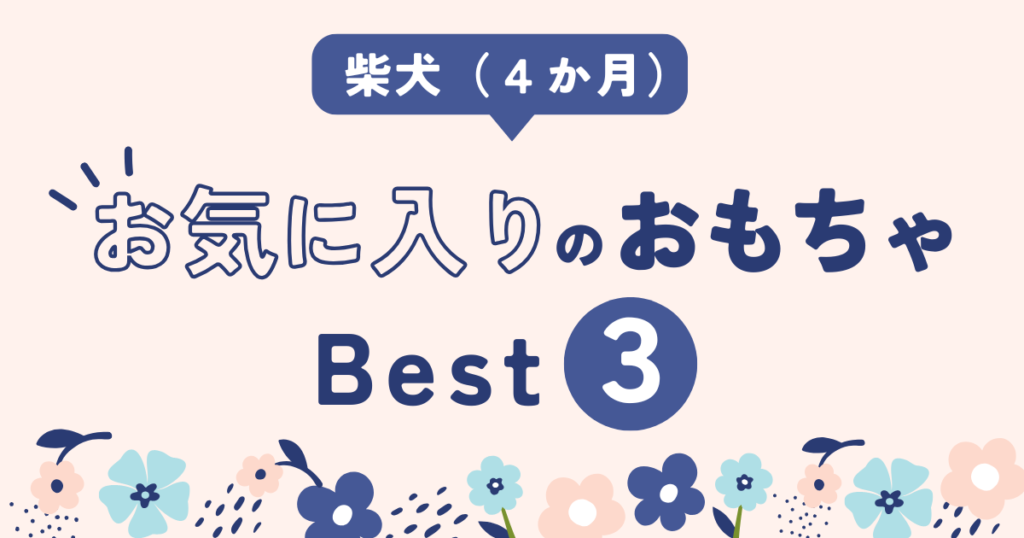 柴犬　子犬　おすすめ　おもちゃ　ランキング