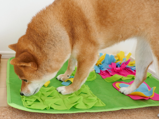 犬のストレス解消におすすめのノーズワークマット