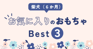 柴犬　子犬　おすすめ　おもちゃ　ランキング　レビュー