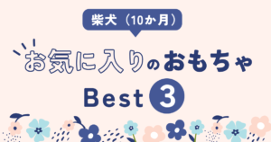 柴犬　子犬　おすすめ　おもちゃ　ランキング　紹介