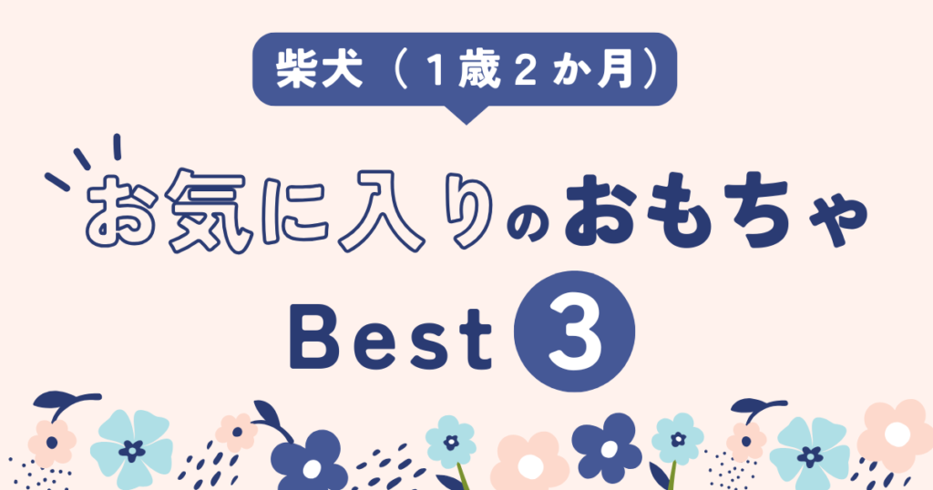 柴犬　子犬　おすすめ　おもちゃ　ランキング