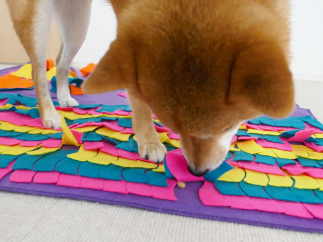 犬のノーズワークにおすすめのマット