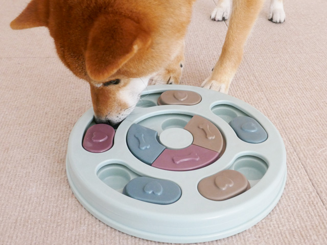 犬の早食い防止グッズ