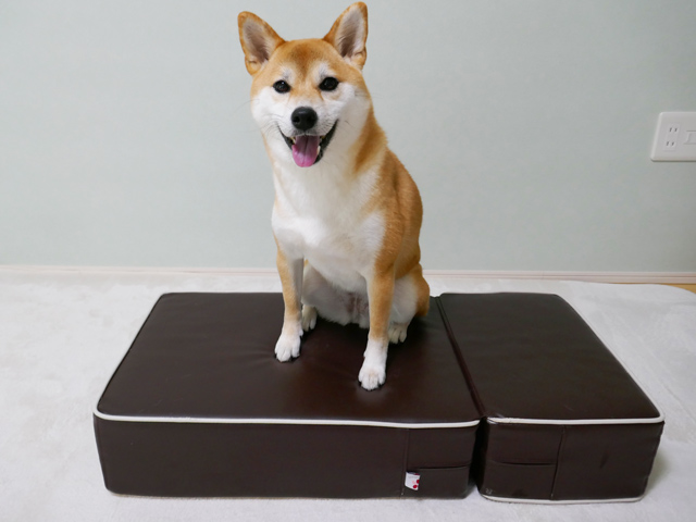 おすすめの犬用ステップ 口コミ