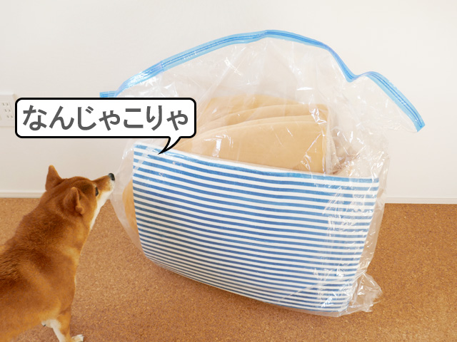 柴犬ハウス 柴犬ベッド おすすめ