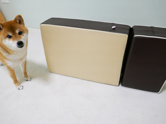 犬 ステップ 階段 安全 おすすめ