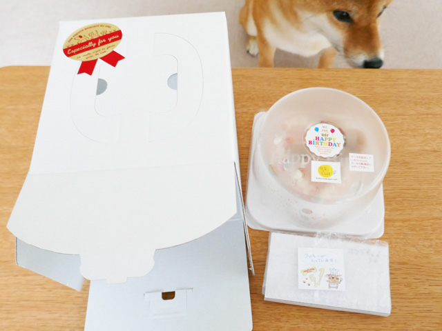おすすめの犬用誕生日ケーキの口コミレビュー