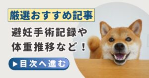 柴犬　子犬　避妊手術　体重　柴犬コマリ　ブログ