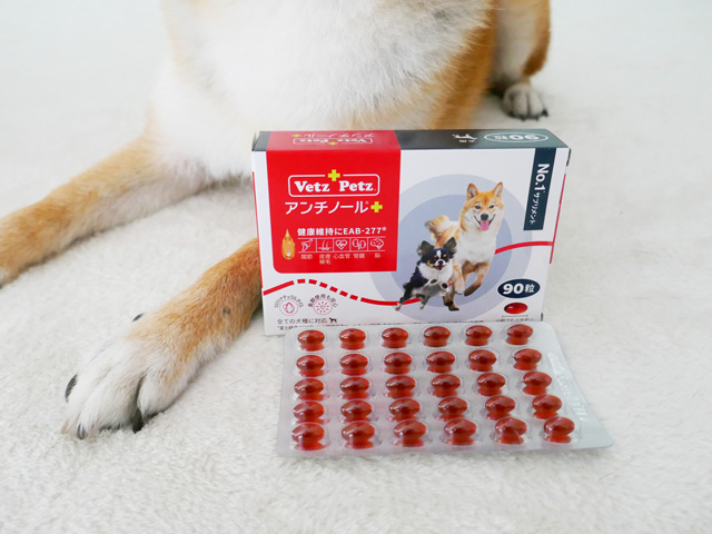 柴犬のアンチノールプラスのメリットや感想レビュー