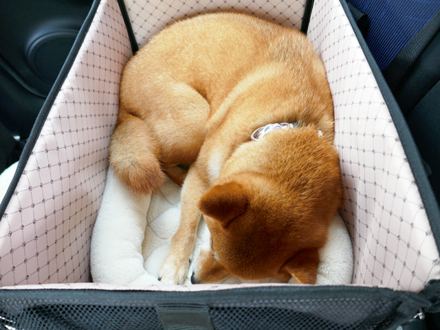 犬 車酔い 対策 ドライブボックス ベッド