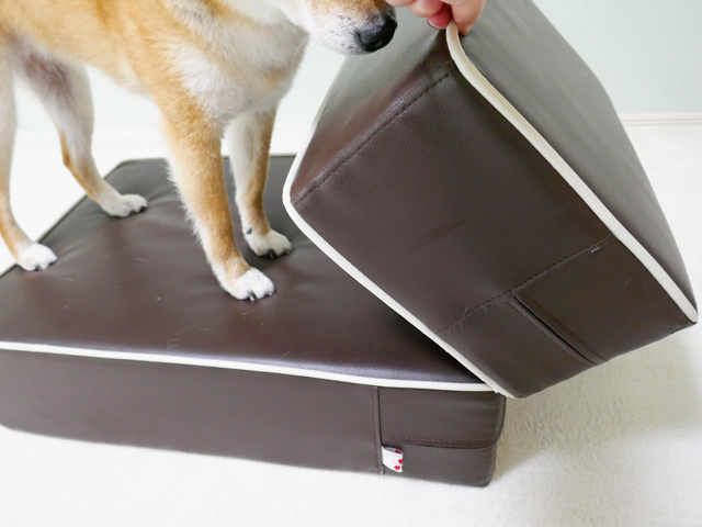 犬 階段 ステップ ヘルニア 骨折 脱臼 予防