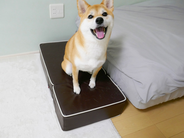 おすすめの犬用階段 ドッグステップ 口コミ