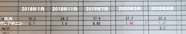 柴犬の腎臓の数値が異常