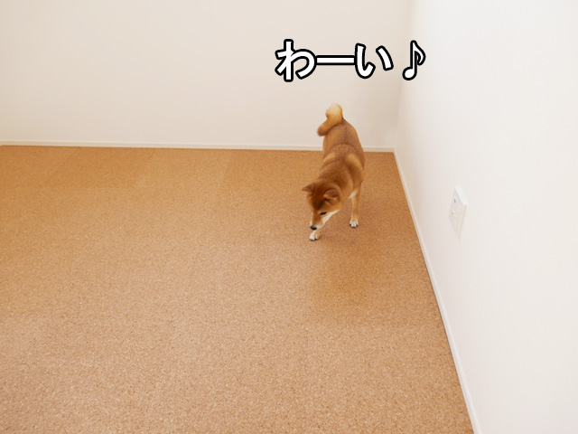犬の部屋にコルクマットを敷き詰める クオリアム おすすめ