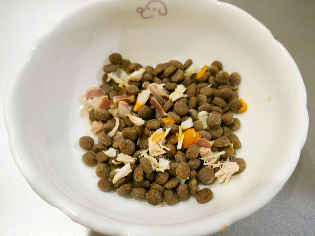 アンチノールに穴を開けてフードにかけて食べる柴犬