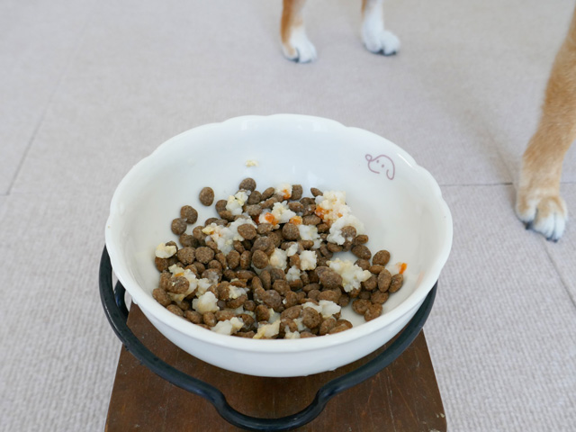 ドッグフード ドライフード トッピング 食べ渋り 食べムラ 食べない 犬