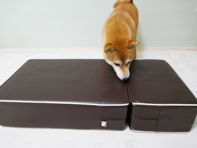 おすすめの犬のドッグステップ ハグワン