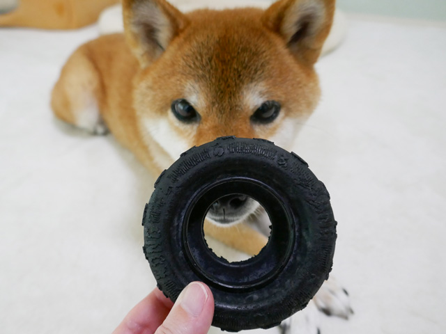 犬のタイヤのおもちゃは頑丈で壊れにくい