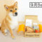 柴犬コマリ　doggybox　ドギーボックス